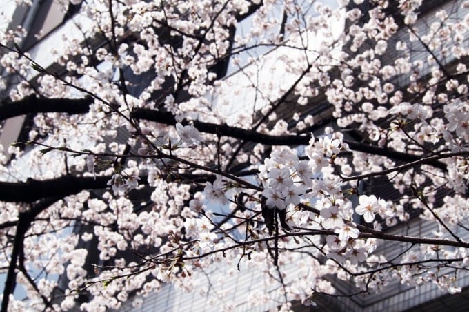 P3314292-e1427795849144