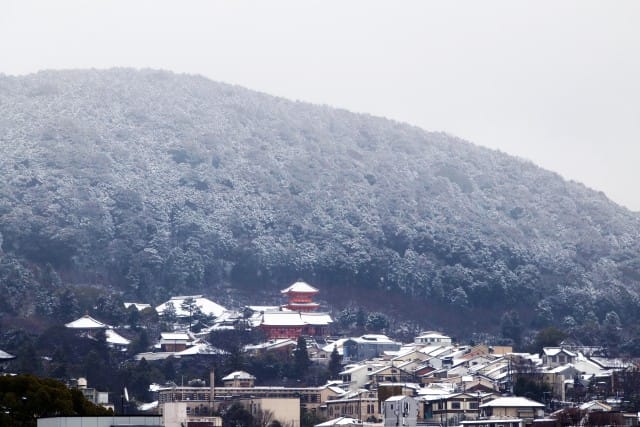 寒中お見舞いもうしあげます