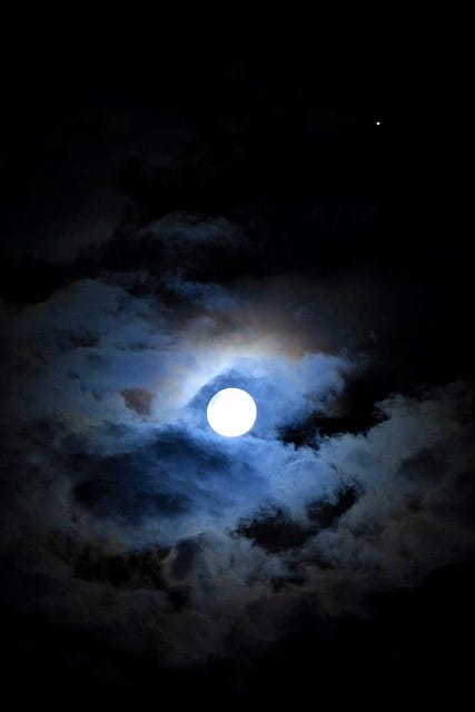 247select The Japan Shop By,The Quality Of Life & Culture Institute