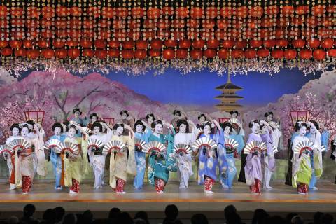 spring is here,,spring dances by Geiko and Maiko